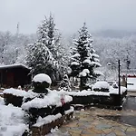Panorama Dajti