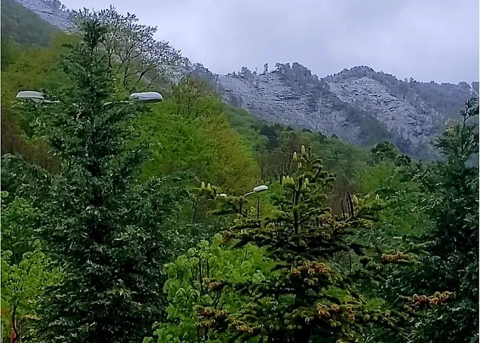 Panorama Dajti